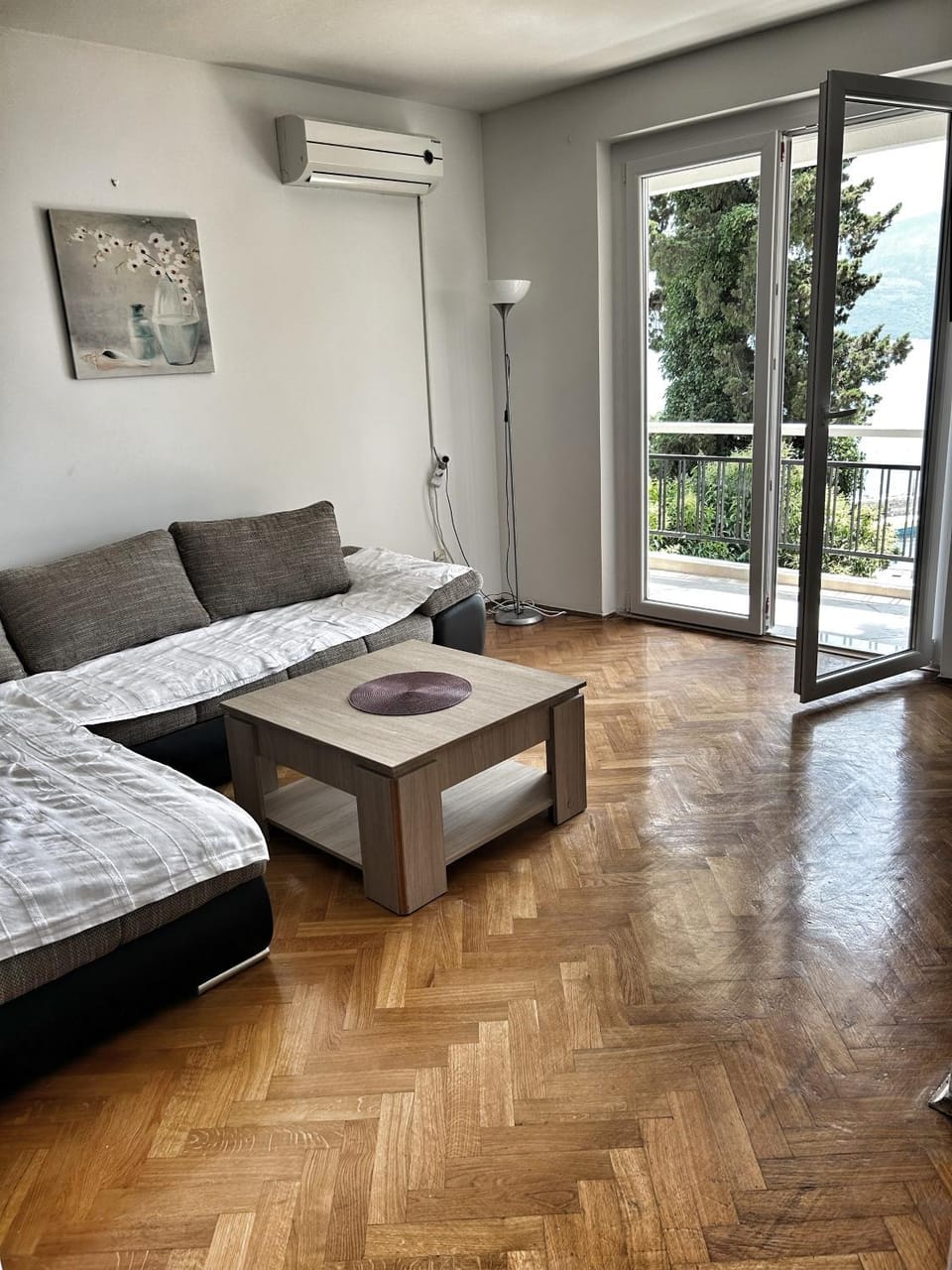 Mr Perfect Apartment in Montenegro