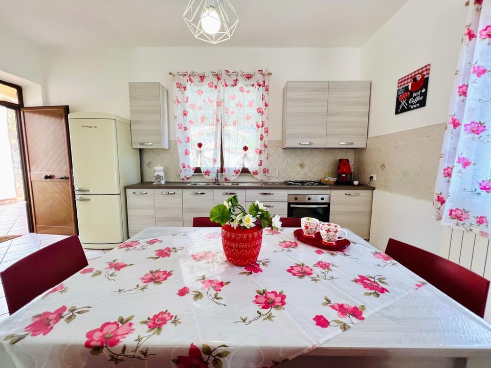Kitchen or kitchenette, Dining area, pet friendly, stove