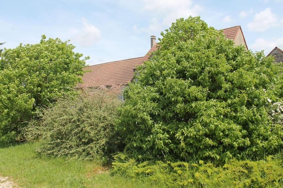 Natural landscape, Garden view