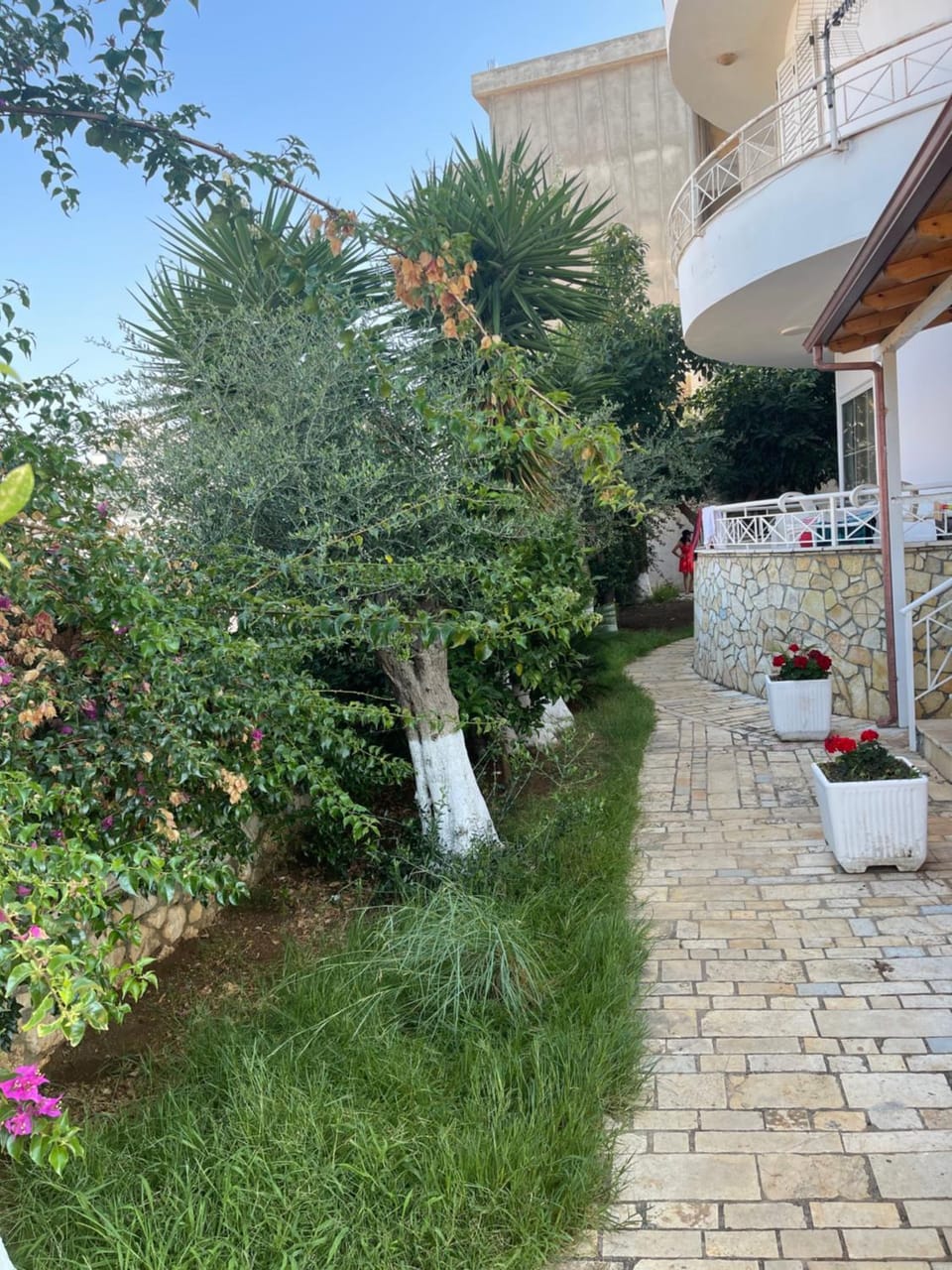 Day, Garden, Garden view