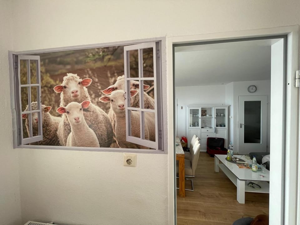 Tief 10 Meeresstern mit Internet504 Apartment in Wangerland