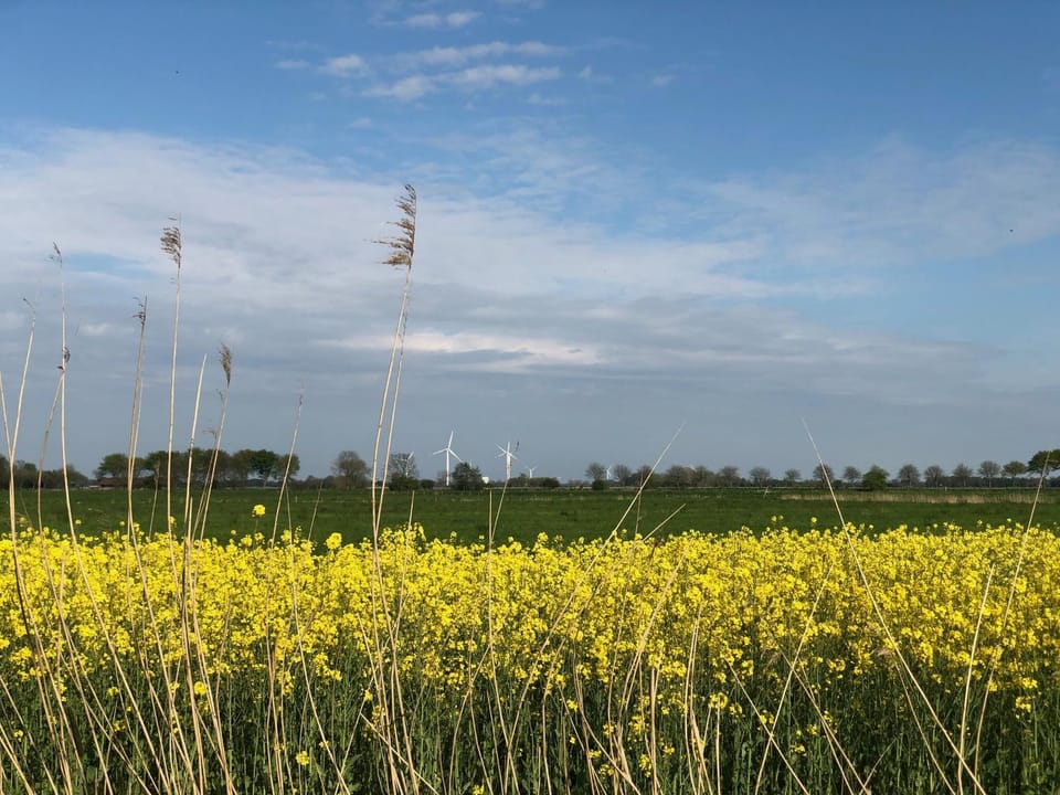 Tief 12 Meeresbrise mit Internet 52 Apartment in Wangerland