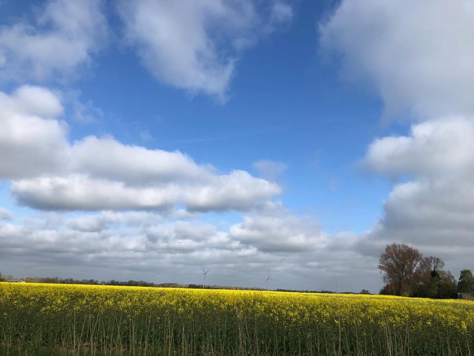 Tief 12 Meeresbrise mit Internet 52 Apartment in Wangerland