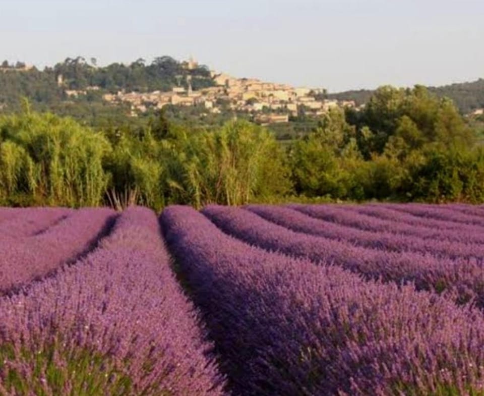 BOHO 2 Vue Panoramique Apartment in Bonnieux