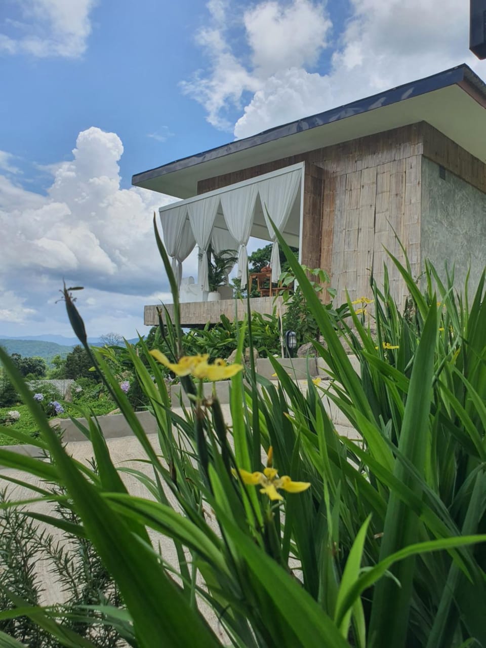 Day, Natural landscape, Garden view