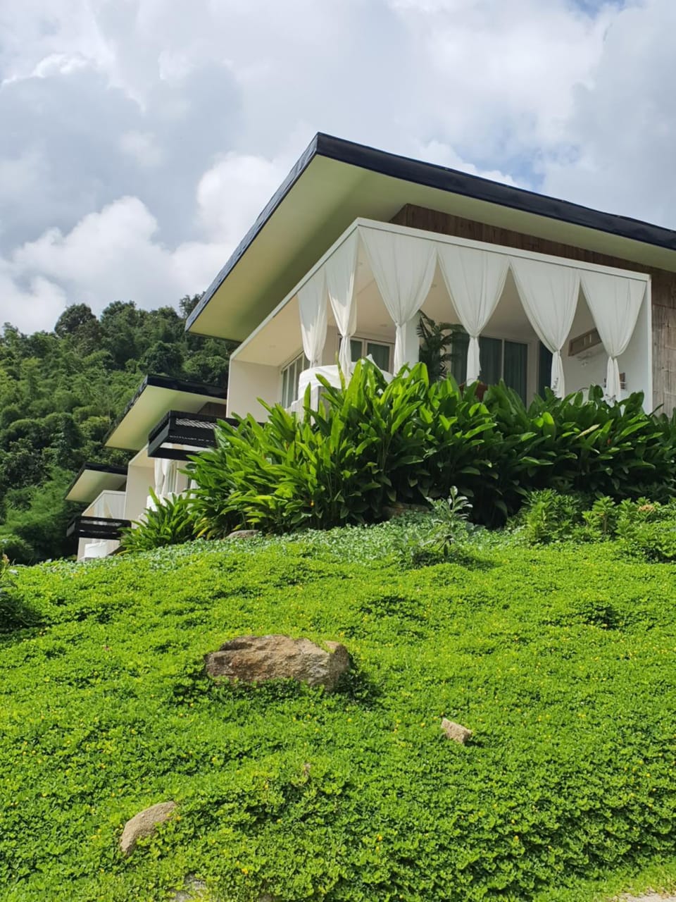 Property building, Day, Natural landscape