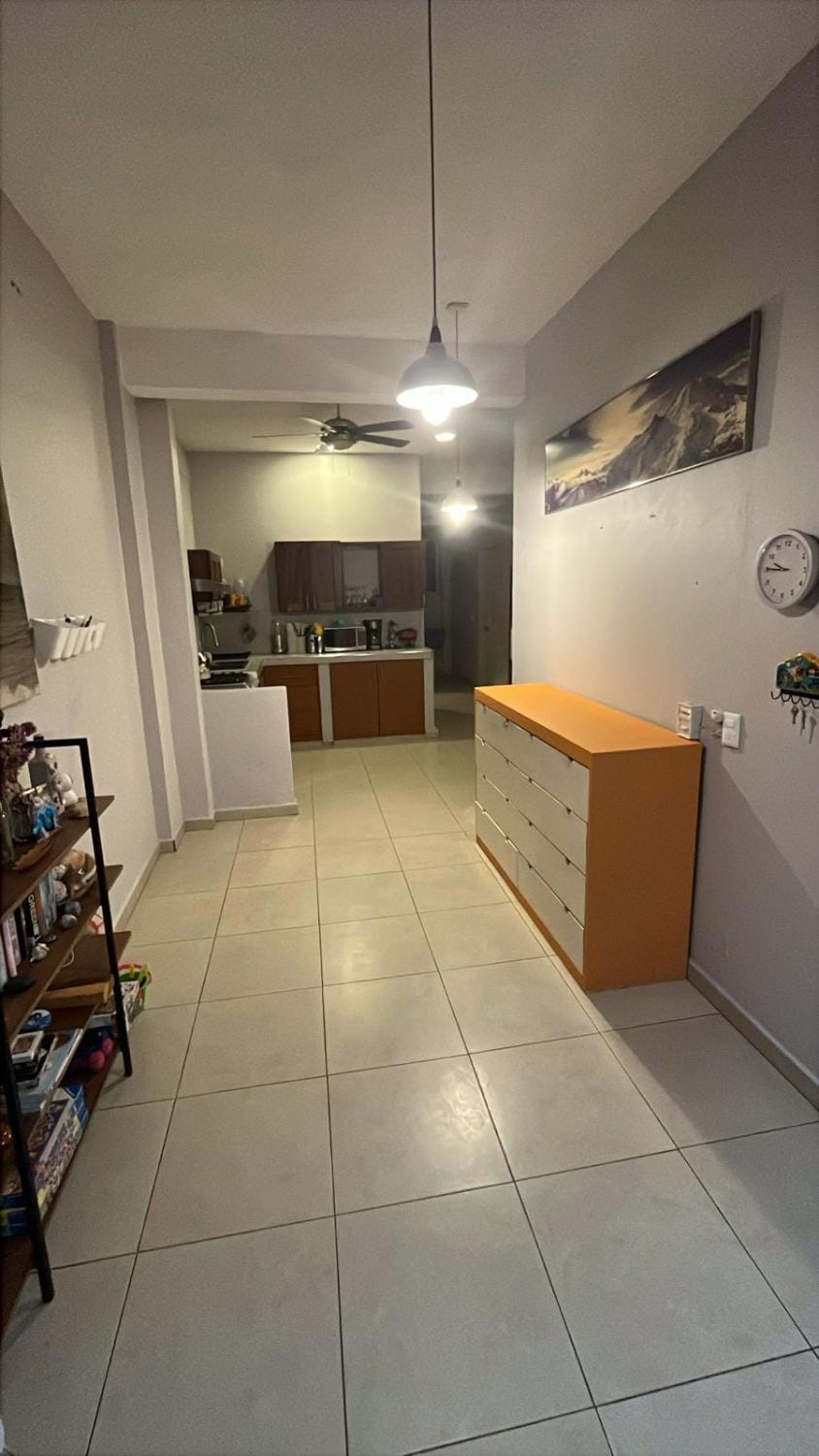 Panoramic Paradise 5 min to downtown and beach Apartment in Zihuatanejo