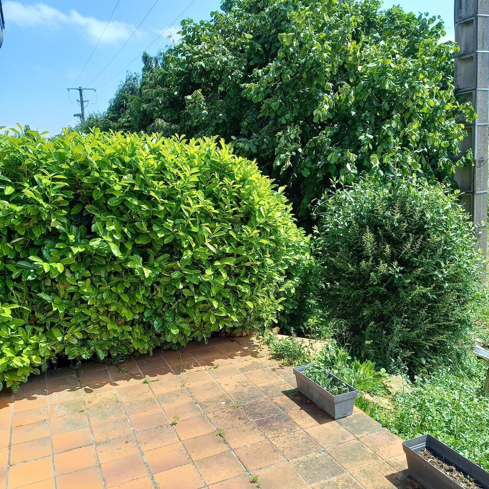 L'ABRI Apartment in Normandy