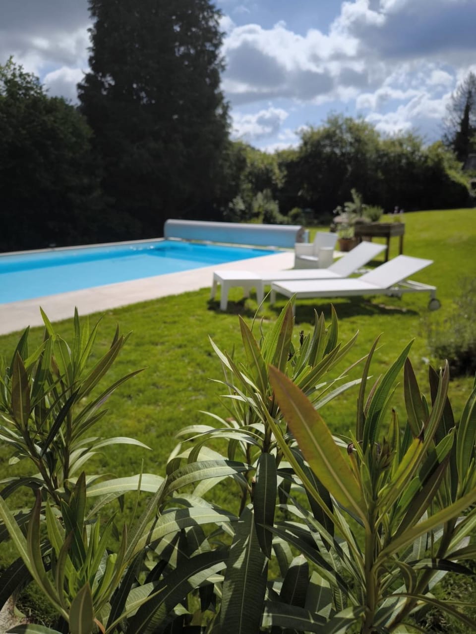 Garden view, Swimming pool