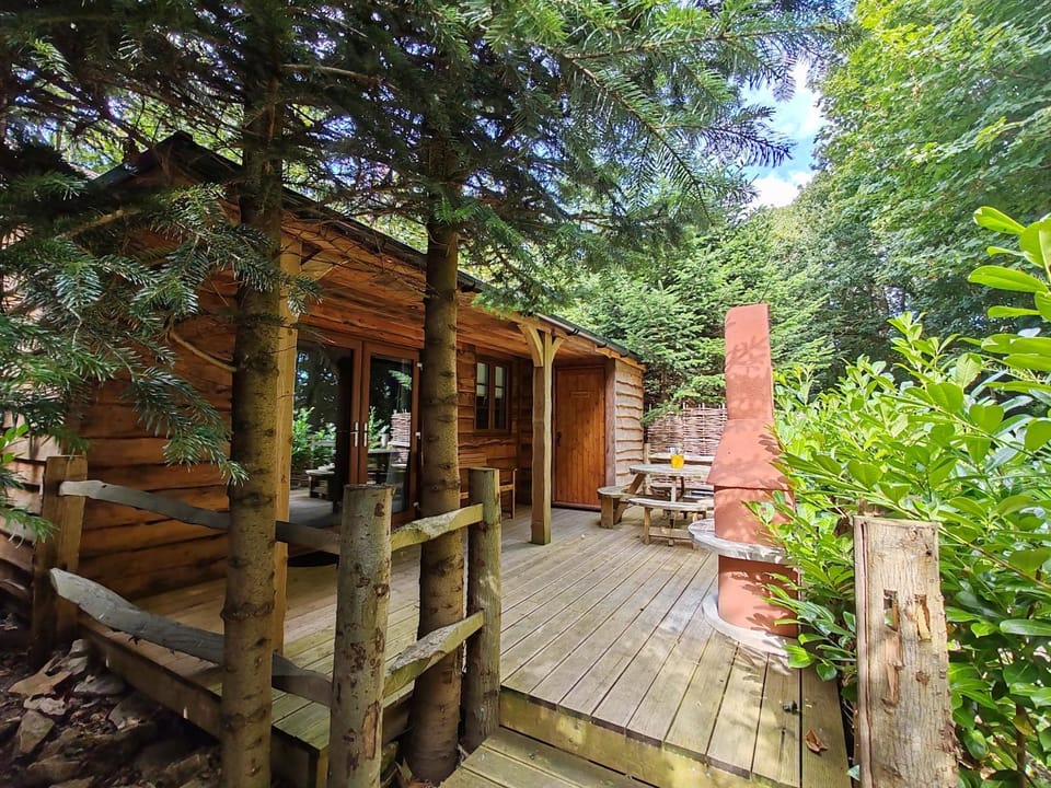 Patio, Natural landscape, Garden, Garden view