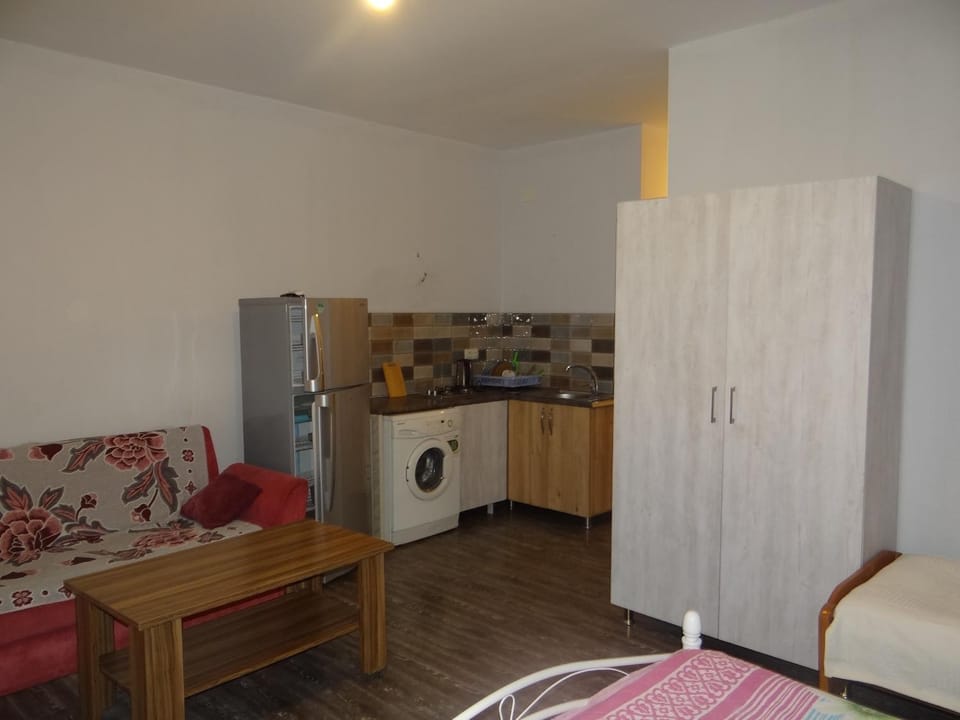 Kitchen or kitchenette, kitchen