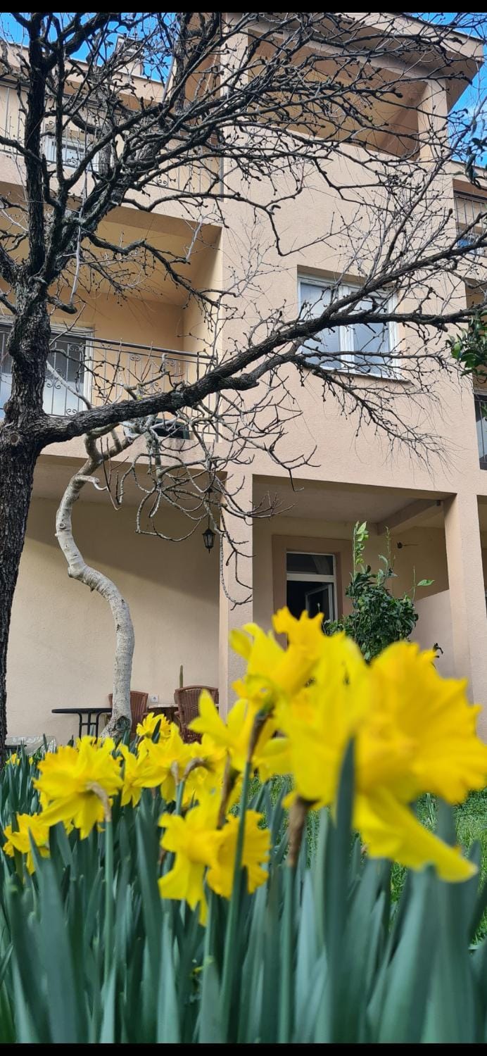 Casa M 1 Apartment in Kotor Municipality