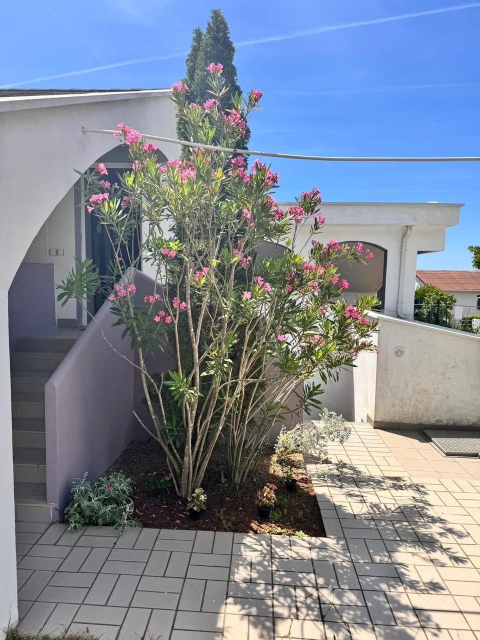 Property building, Garden view