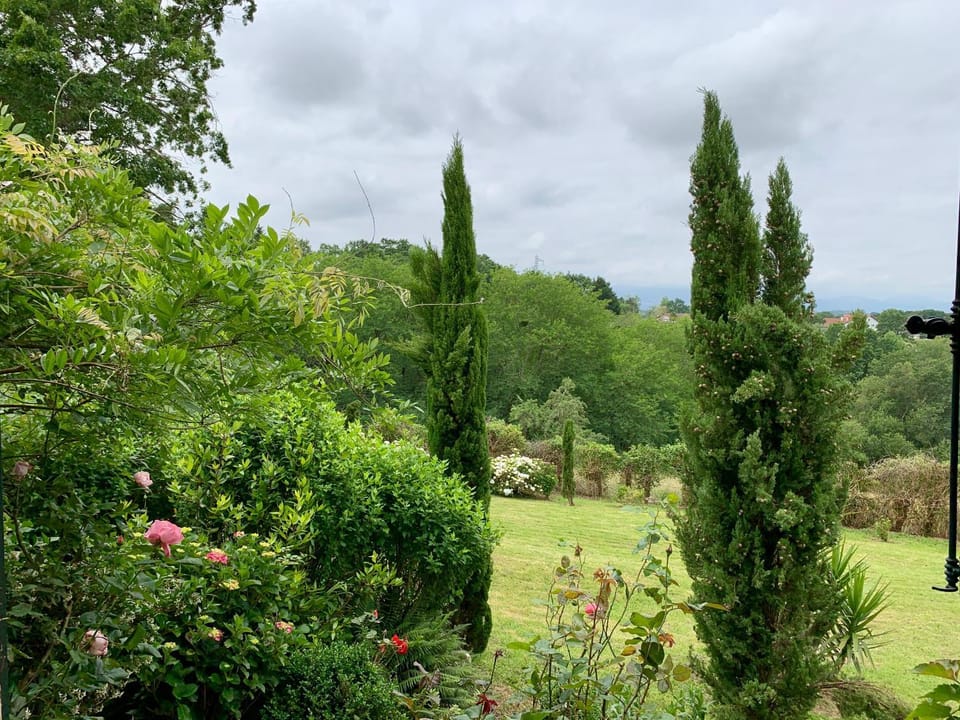 Garden, Garden view