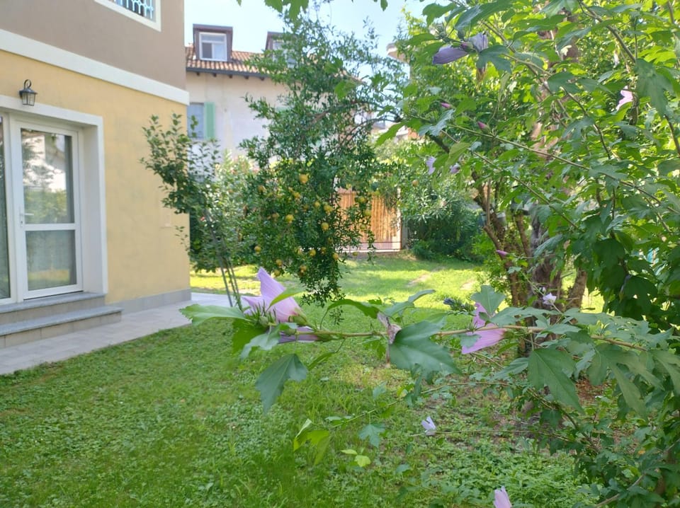 Grace's house House in Crema