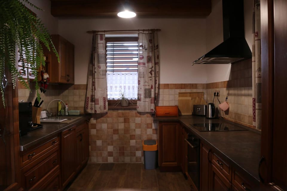 Kitchen or kitchenette, minibar, pet friendly, stove