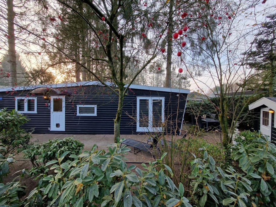 Veluwe Park Reewold-Chalet in Putten voor rust zoeker Campground/ 
RV Resort in Putten
