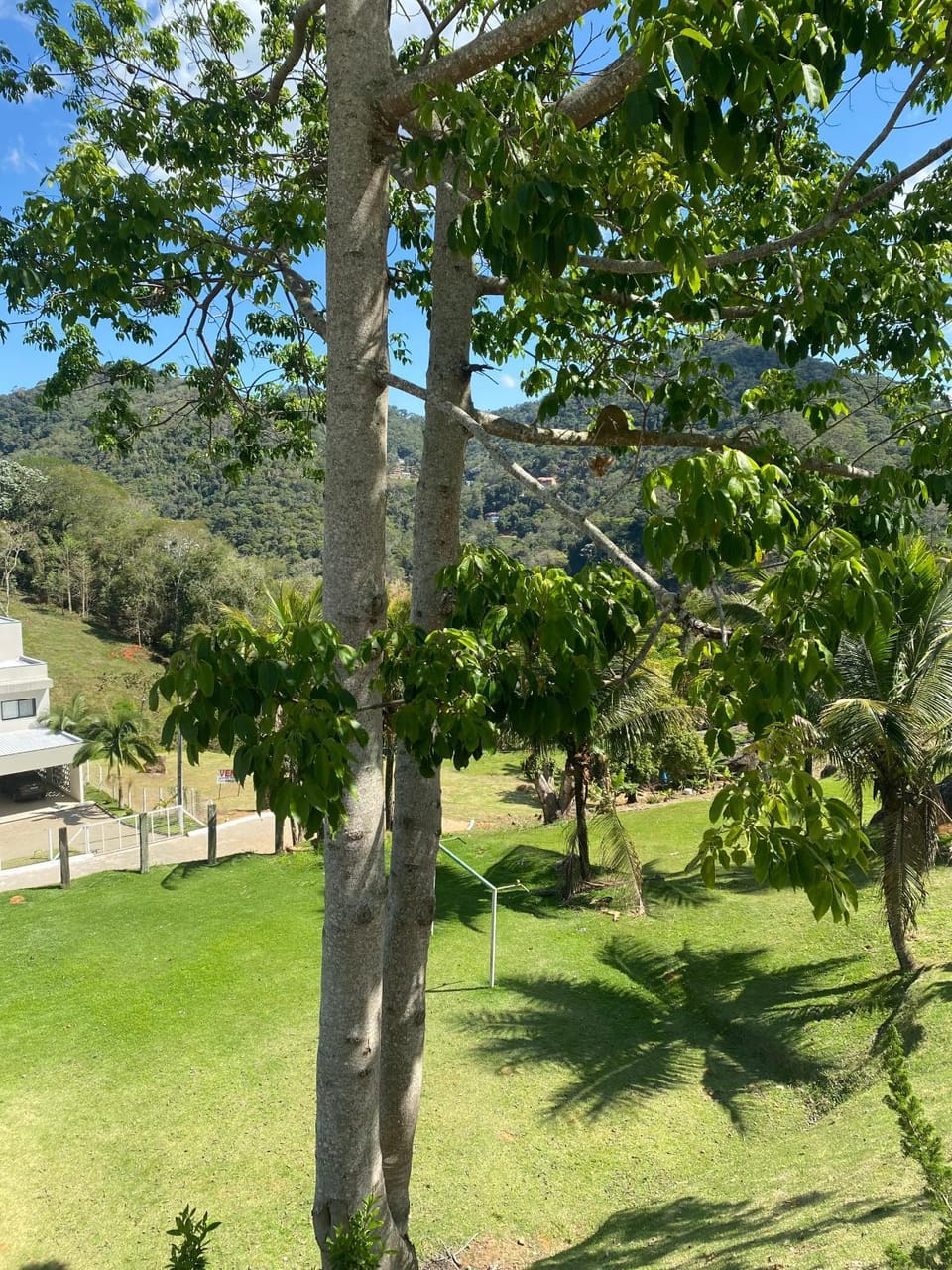EuroPark no centro para casais e famílias, 800M da rua do lazer - incrível vista das montanhas House in Domingos Martins