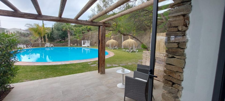 Natural landscape, Garden, Garden view, Pool view, Swimming pool, sunbed