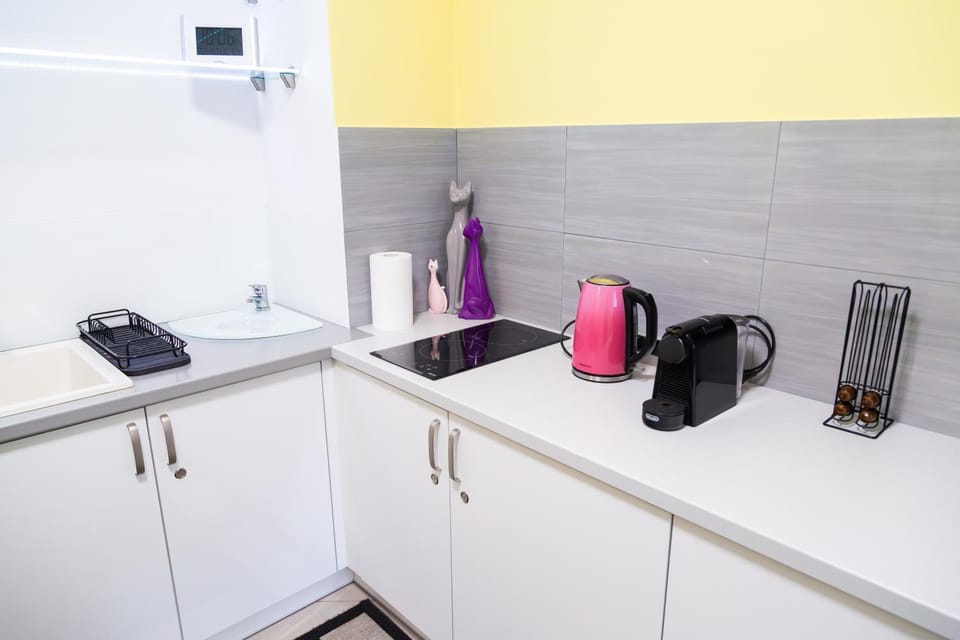 Apartament przy Rynku Apartment in Poland