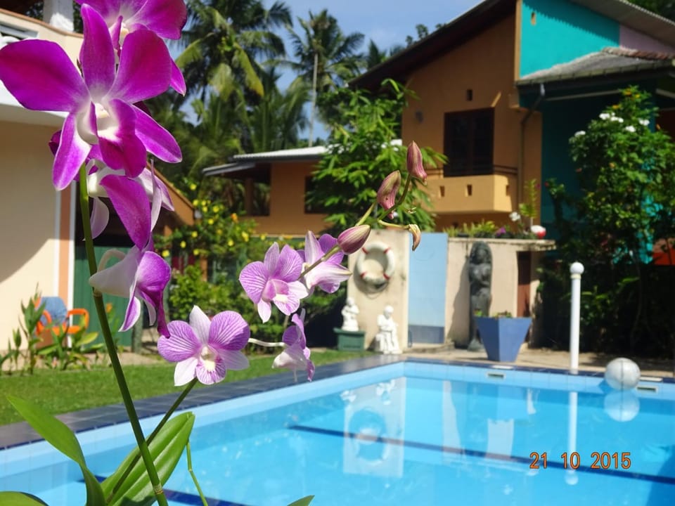 Swimming pool, Swimming pool