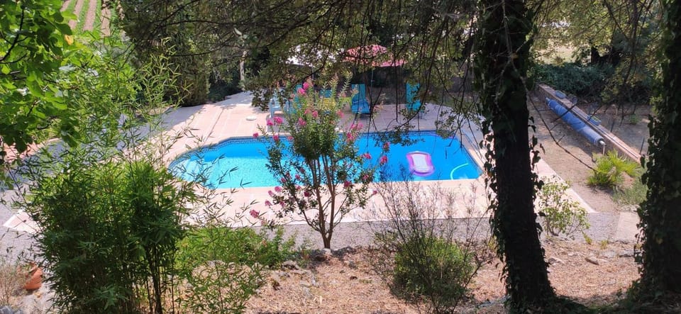 Natural landscape, Garden, Garden view, Pool view, Swimming pool