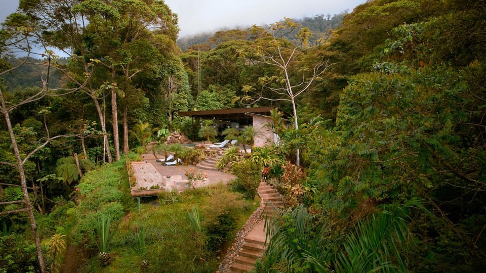 Garden, Lounge or bar, Garden view