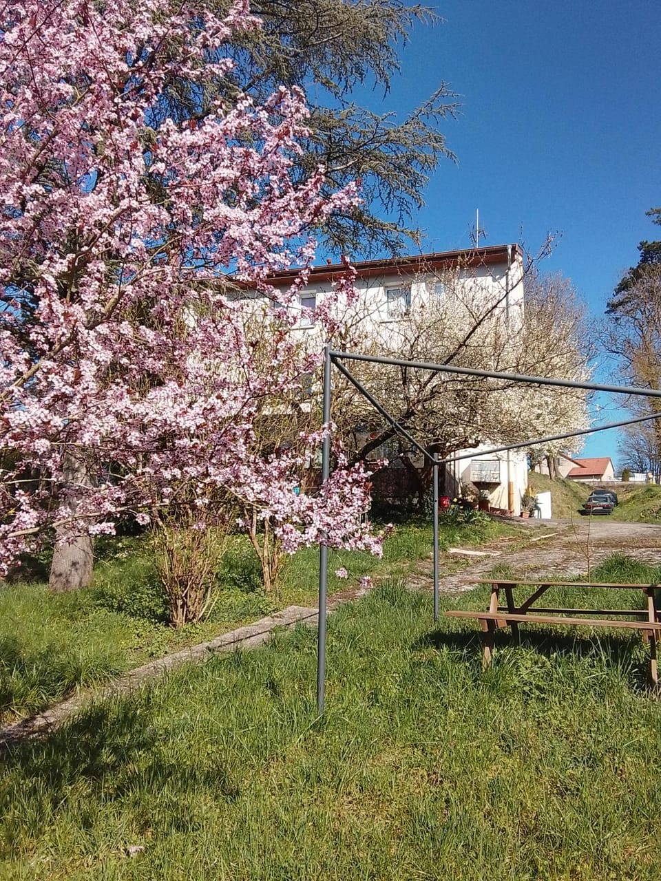 Villa Arc en Ciel et clé des champs Apartment in Vosges