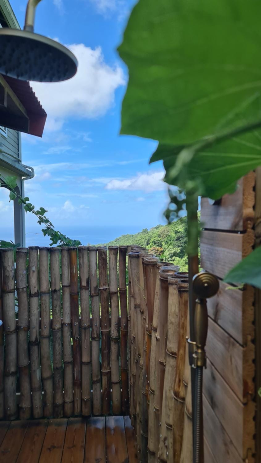 Shower, Property building, Day, Natural landscape, View (from property/room), Balcony/Terrace, Sea view