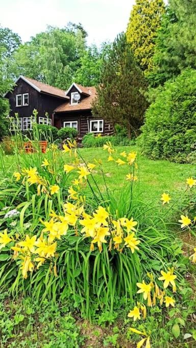 Trzemcha House in Lesser Poland Voivodeship