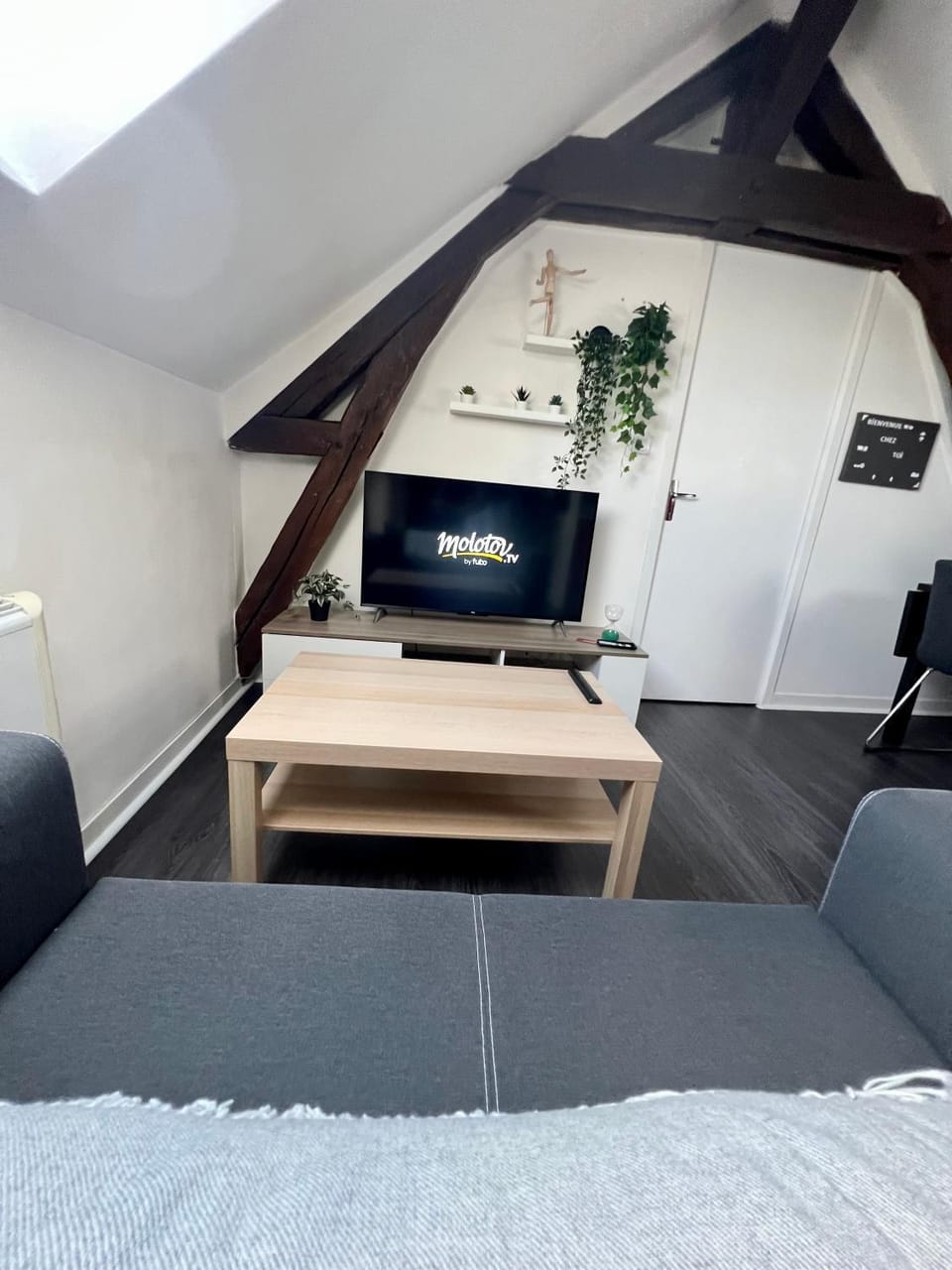 TV and multimedia