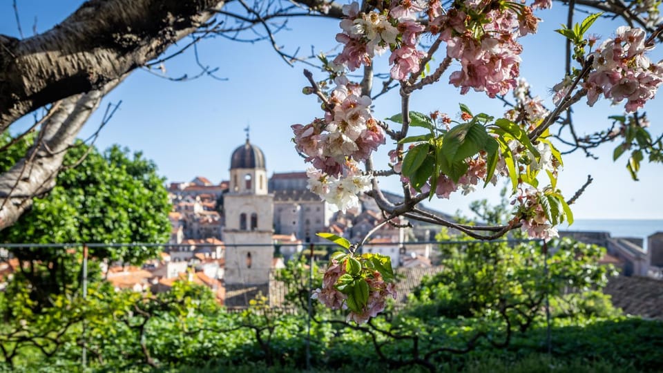 Spring, Day, Garden, Garden view, Sea view