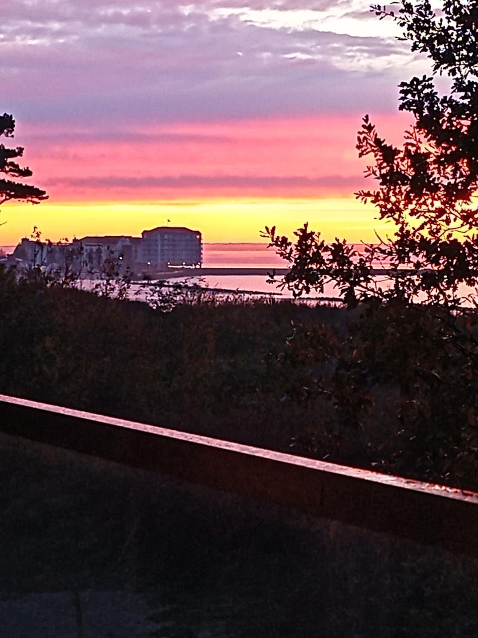 View (from property/room)