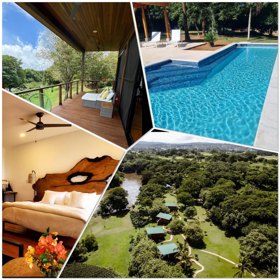 Patio, Natural landscape, Garden, Garden view, Pool view, Swimming pool