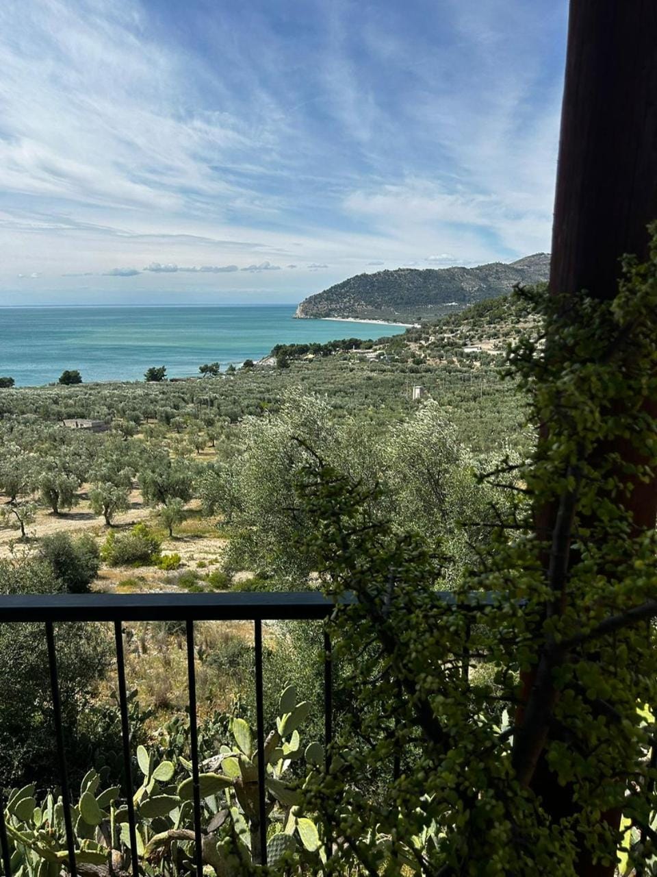 Bird's eye view, View (from property/room)