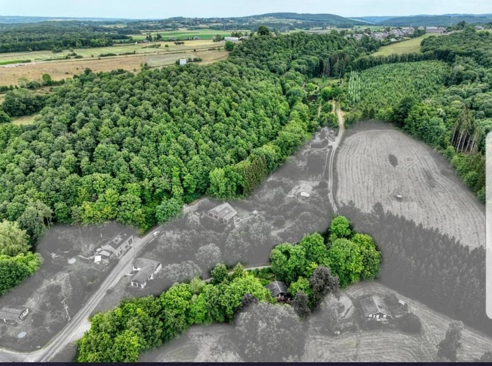Natural landscape, Bird's eye view, Garden, Garden view