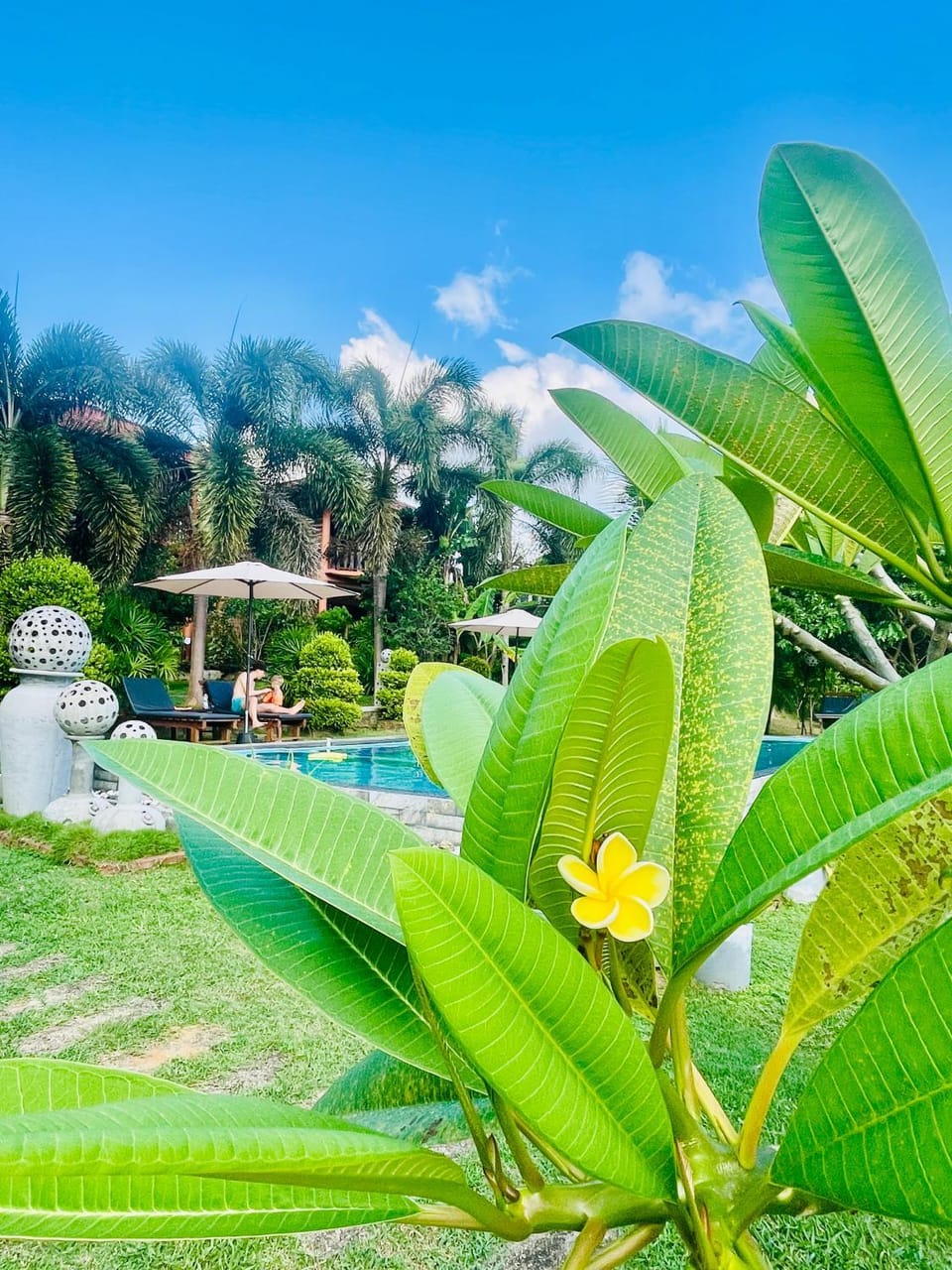 Eagles Nest Cabanas Bed and Breakfast in Southern Province