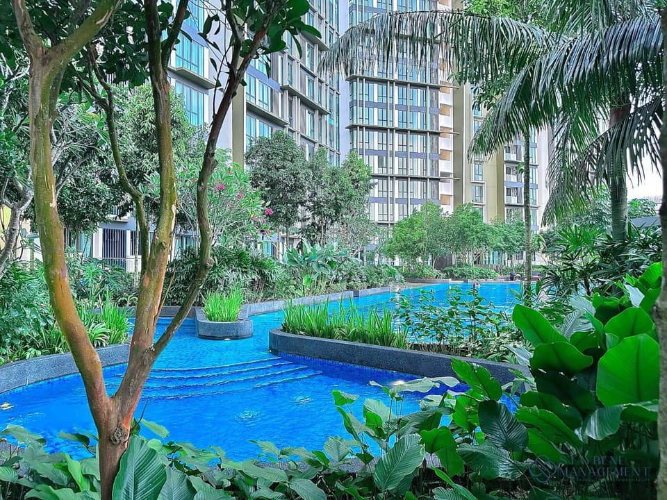 Swimming pool, Swimming pool