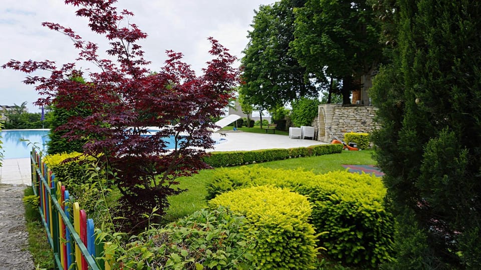 Day, Natural landscape, Garden, Garden view