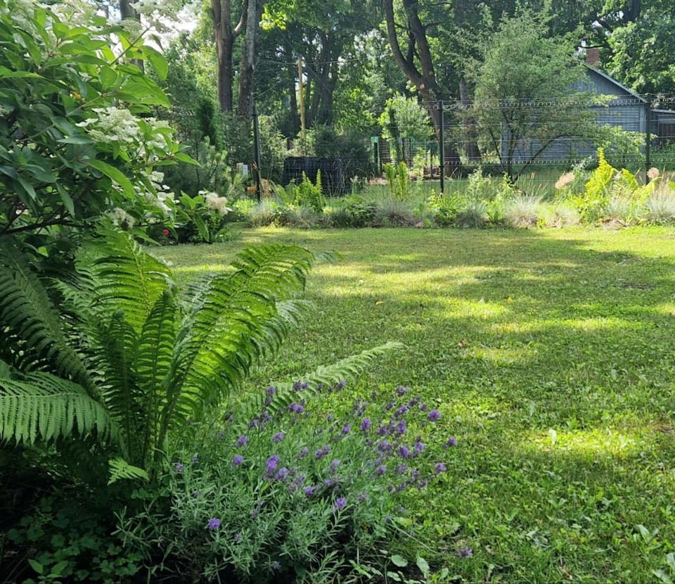 Garden view