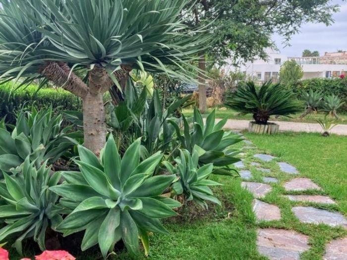 REf 41 ADOSADO EN LA TAHONA House in La Janda