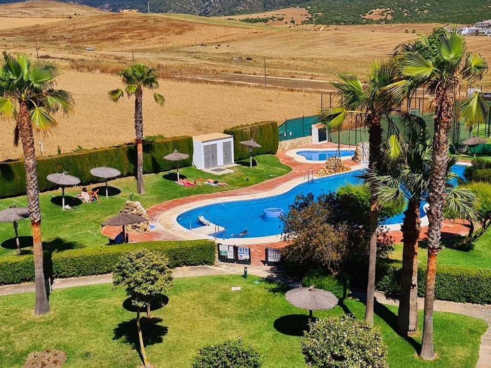 Day, Garden, Garden view, Pool view