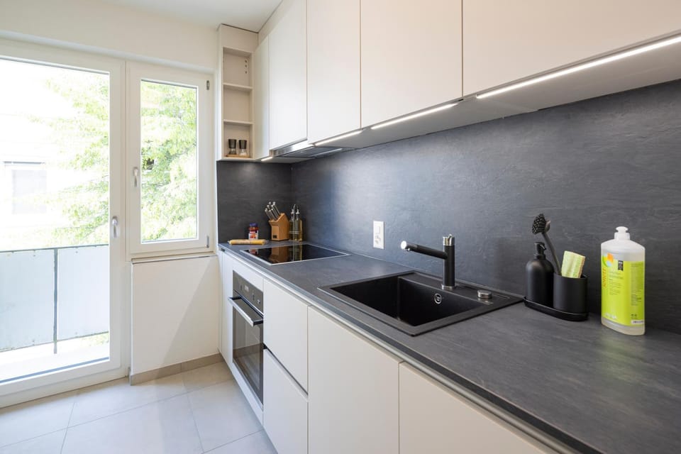 Kitchen or kitchenette, dishwasher, pet friendly, stove