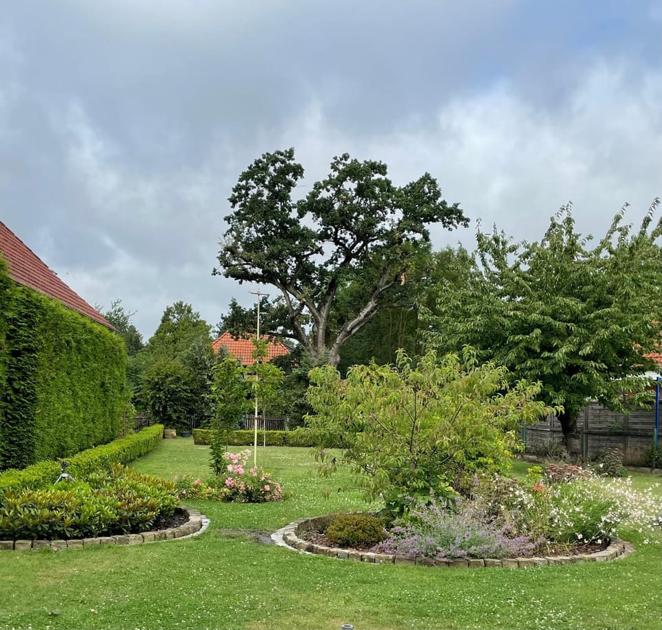 Garden, Garden view