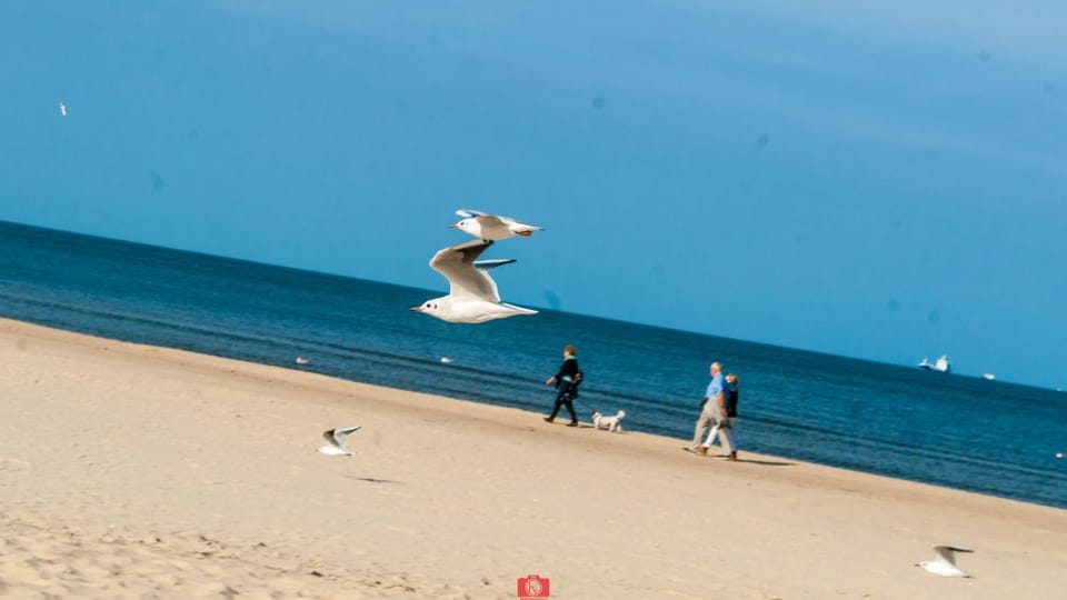 Natural landscape, Beach, Sea view