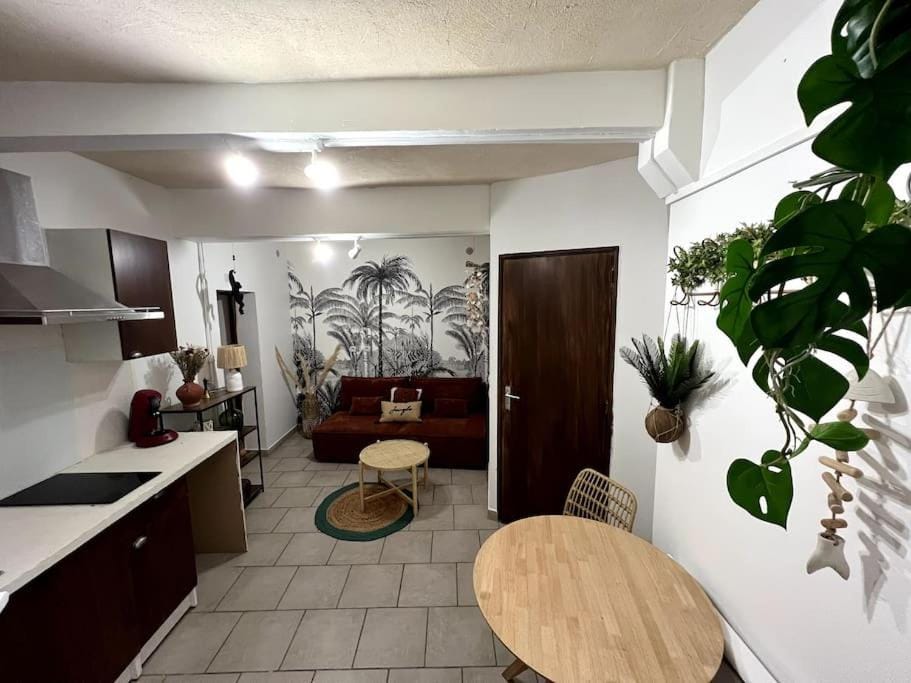 Hyper centre - proche Castillet Apartment in Perpignan