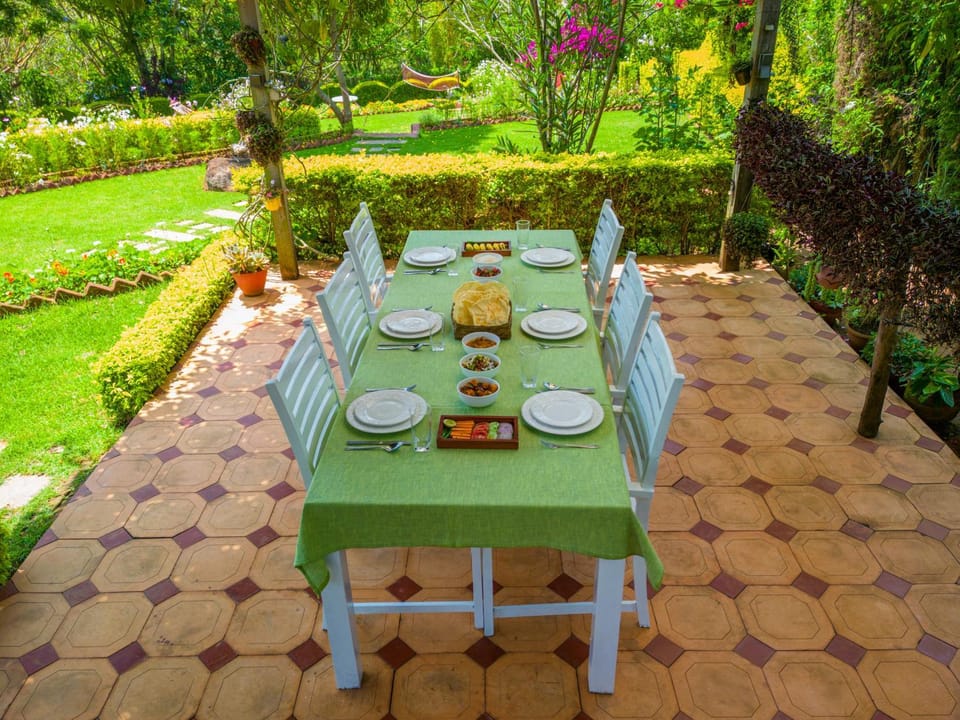 Garden, Food and drinks, Dining area, Food, Breakfast