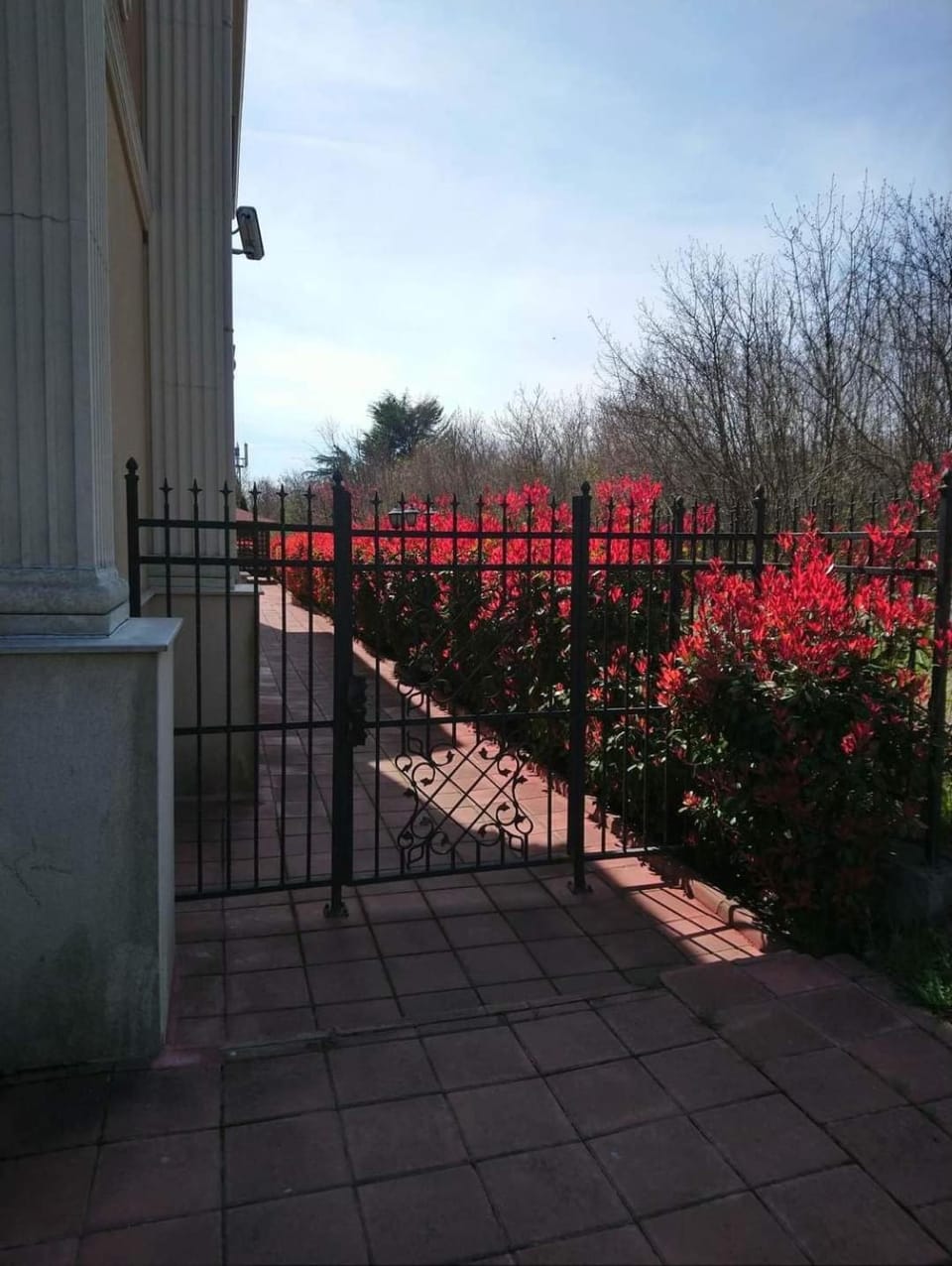 Garden, View (from property/room), Garden view