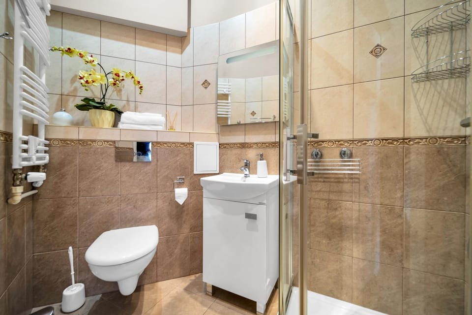 Shower, Toilet, Bathroom, towels