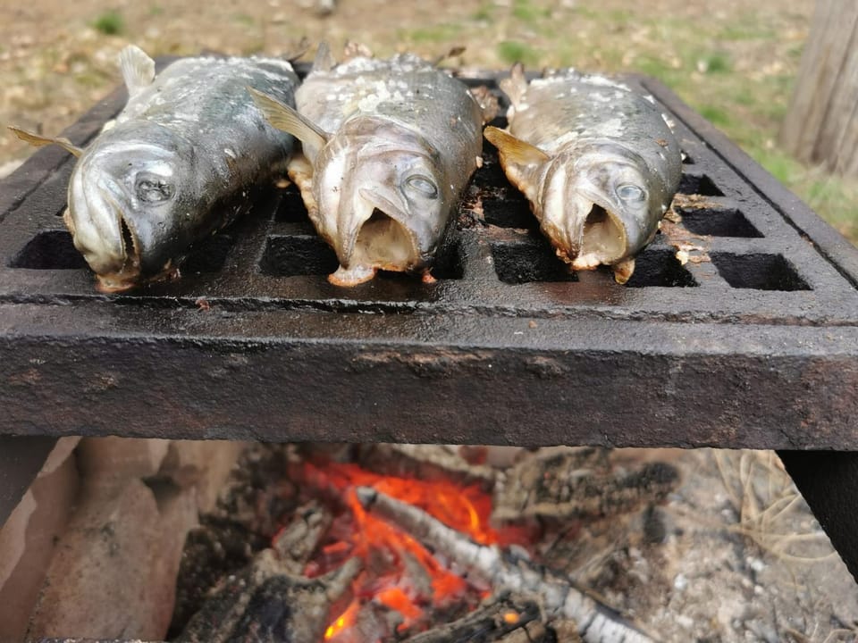 BBQ facilities